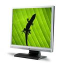19" BENQ G900AD